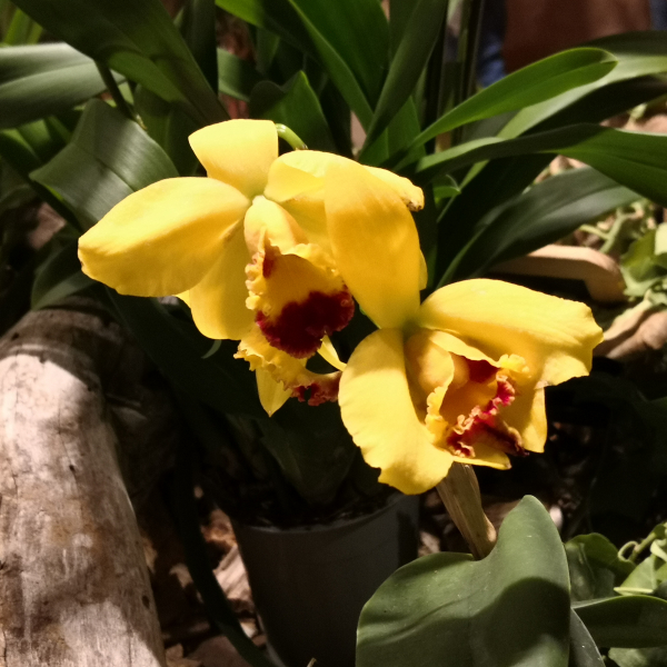 Fontfroide_2022
